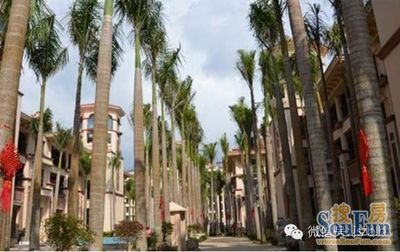 [金手指白鹭湖]3#楼全新湖景王座震撼价20万/套起