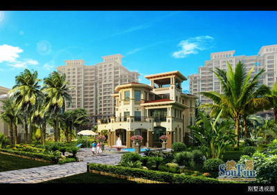 2010年海南别墅节盛大开幕，引领高端房产巡演新风尚