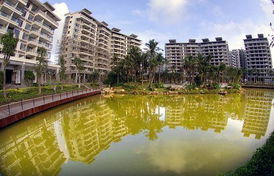 回眸2009 海南经济持续回升运行质量提高，房产市场迎来新机遇