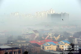 52个大中城市12月份新建商品房房价下降，海南房产市场表现各异